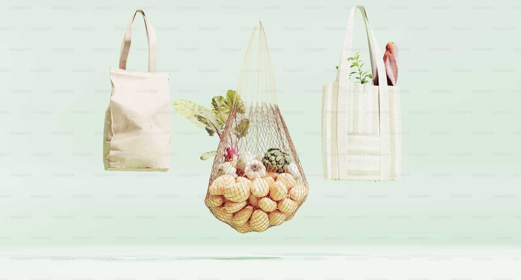 Announcing New Initiatives for a Sustainable Future